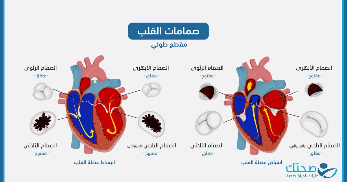 عيادة الدكتور وليد اسماعيل - جراحة قلب الاطفال