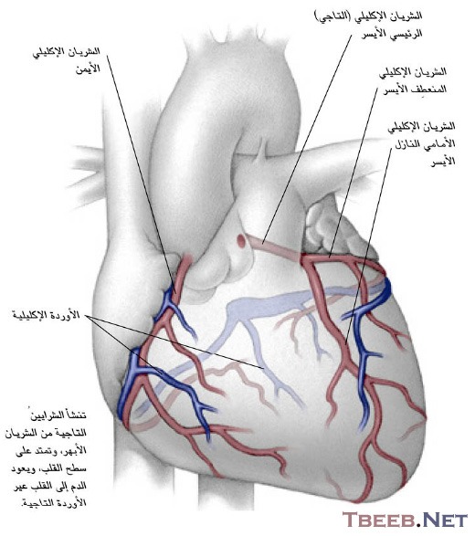 شذوذات خلقية في الشرايين التاجية (Congenital coronary artery anomalies)